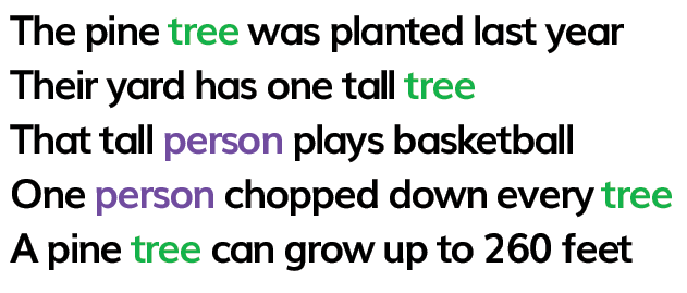 The pine tree was planted last year. Their yard has one tall tree. That tall person plays basketball. One person chopped down every tree. A pine tree can grow up to 260 feet.
